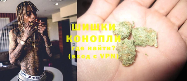 сатива Магас
