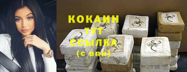 сатива Магас