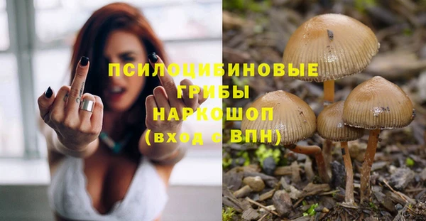 стафф Майский