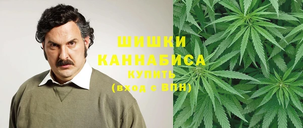 PSILOCYBIN Магадан