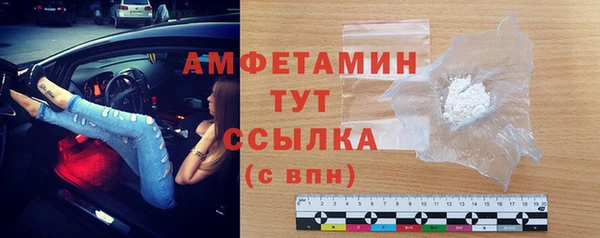 сатива Магас