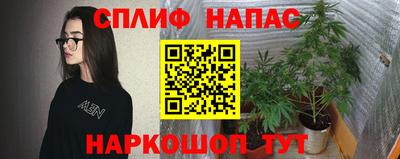 ешки Нарткала