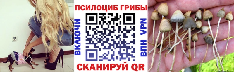 магазин  наркотиков  Шали  Галлюциногенные грибы GOLDEN TEACHER 