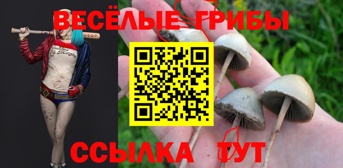 Галлюциногенные грибы прущие грибы  Псилоцибиновые грибы ЛСД  наркошоп  Вход с VPN  Шали 