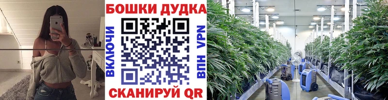цены наркотик мега онион Канабис White Widow Шали
